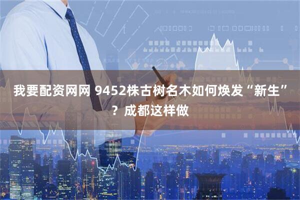 我要配资网网 9452株古树名木如何焕发“新生”？成都这样做